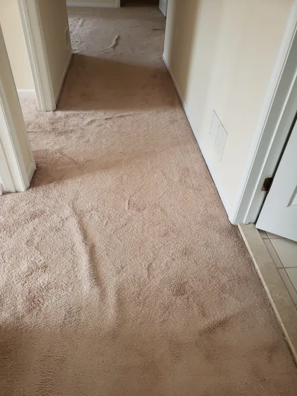 carpet stretching near me